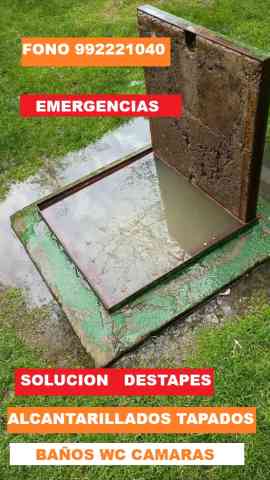Imagen 0