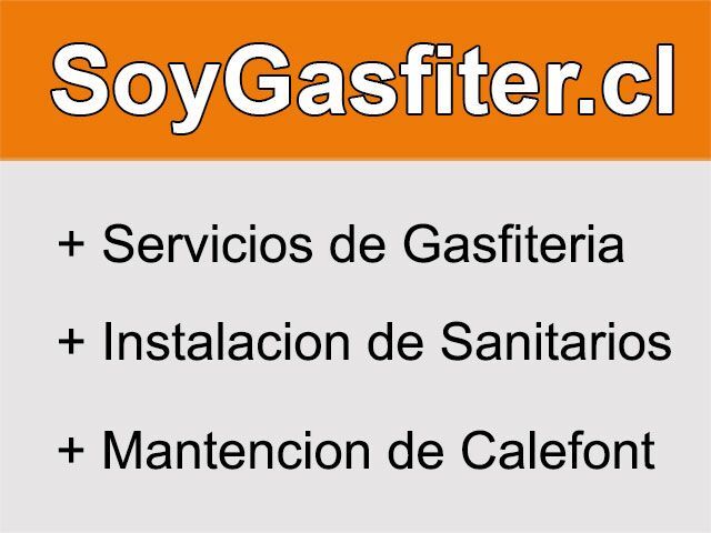 SoyGasfiter.cl Carmen Gloria