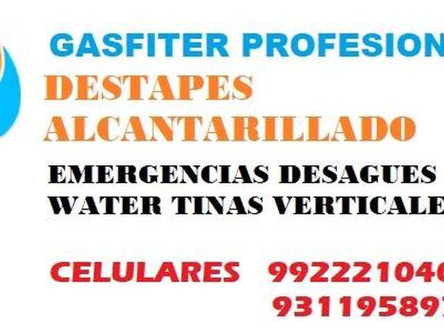 SoyGasfiter.cl Carmen Gloria